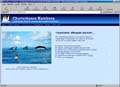 Website besuchen