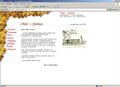Website besuchen